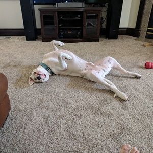 Meet your Posher, Aaron